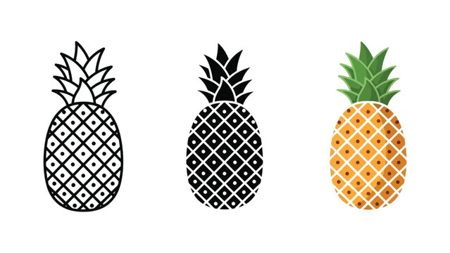 Pineapple vector illustration set with line art silhouette and flat color icons