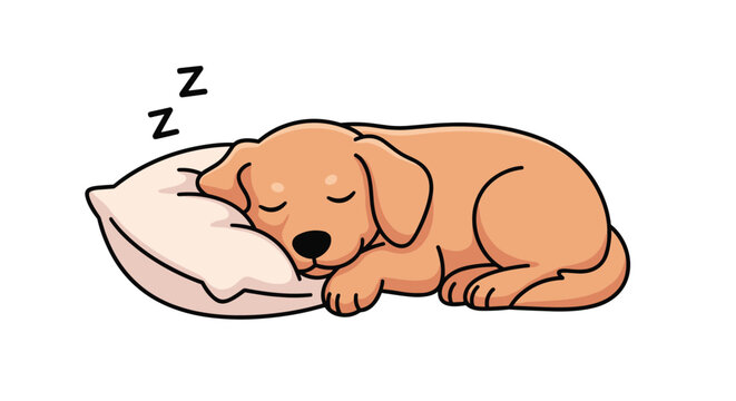 Golden retriever puppy sleeping comfortably on a soft white pillow with zzz symbols indicating a deep sleep in a simple cute drawing.