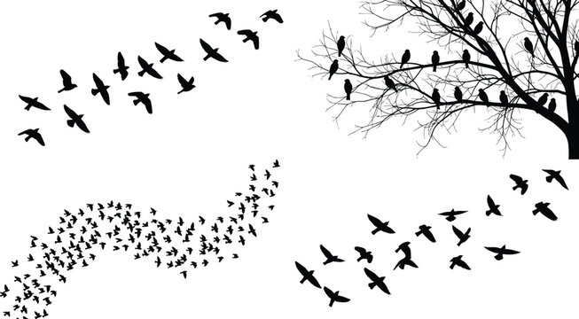 Flying Bird Silhouette Collection with Tree Branch Flock and Black Nature Vector Illustration Set