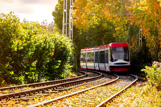 Tram in the old the autumn colourful park