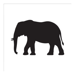 Fototapeta premium Black silhouette elephant standing