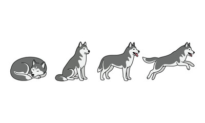 Siberian husky dog poses including sleeping sitting standing jumping © tere