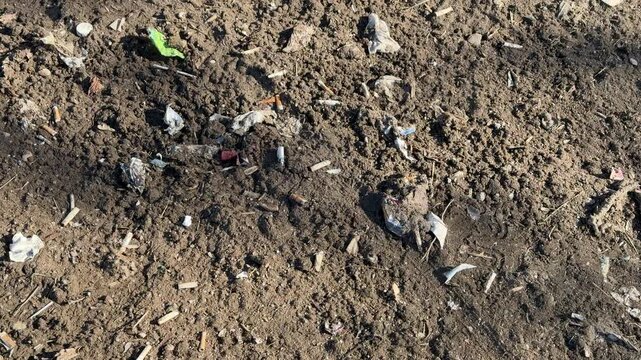 Park ground litter under sunlight, scattered cigarette butts, paper fragments and ash on dry soil long tree shadow crossing scene