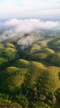 Aerial view of Teletubbies Hill featuring lush green rolling mounds under a soft morning mist in Kecamatan Nusa Penida, Bali, Indonesia.