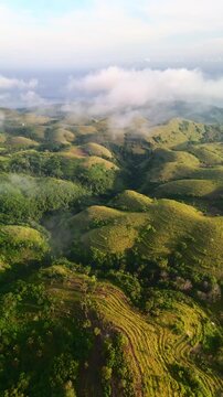 Aerial view of Teletubbies Hill featuring rolling green mounds and lush vegetation under a soft morning mist in Kecamatan Nusa Penida, Bali, Indonesia.