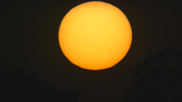 (SDR 709 10bit 4:2:2) - 4K Video Sunset sun with silhouette tree branches and warm orange glow, visible sunspots on the solar disk, captured with 1600mm telephoto &ndash; Cut 01