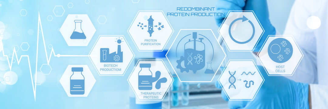 Modern biotechnology illustration showing recombinant protein production process with bioreactors therapeutic proteins and host cells