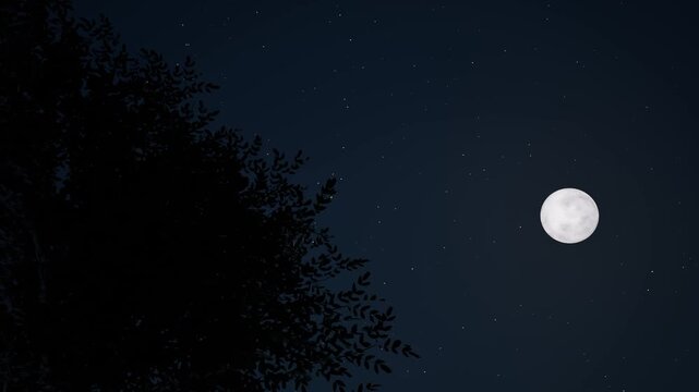 Full Moon trees blue starry sky nature bg 4k