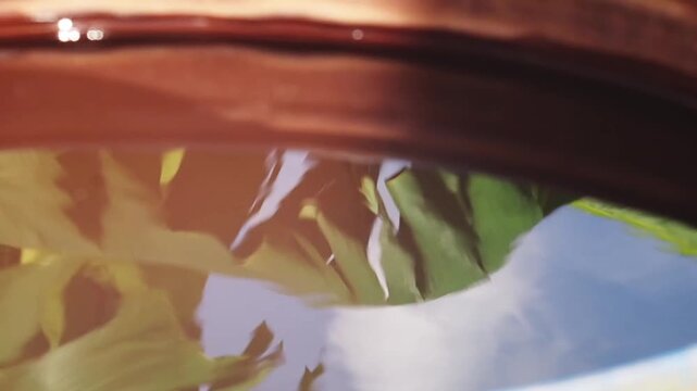Tropical abstract water reflection of banana leaf and sky inside bucket, soft ripple texture close up pattern in water surface reflection view