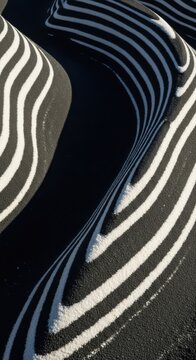 Black and white zebra print, zebra stripes, animal pattern, fashion texture