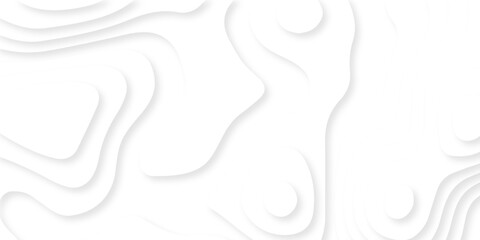Fototapeta premium Vector minimal light element shadow landscape wave element curve graphic papercut design. Background with lines Modern white carve wave line abstract luxury papercut background.