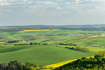 Fototapeta premium Landscape style Moravian Tuscany, Moravia, Czech Republic