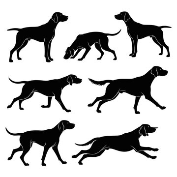 Collection of black silhouettes of hunting dogs in different action poses