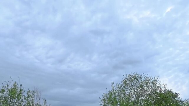 Dramatischer Zeitraffer von dichten grauen Wolken &uuml;ber Baumkronen mit starkem Sonnenlicht-Durchbruch