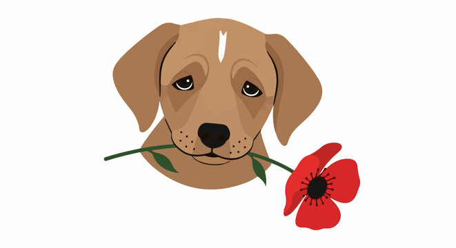 Sad puppy holds a red poppy in its mouth, a symbol of remembrance