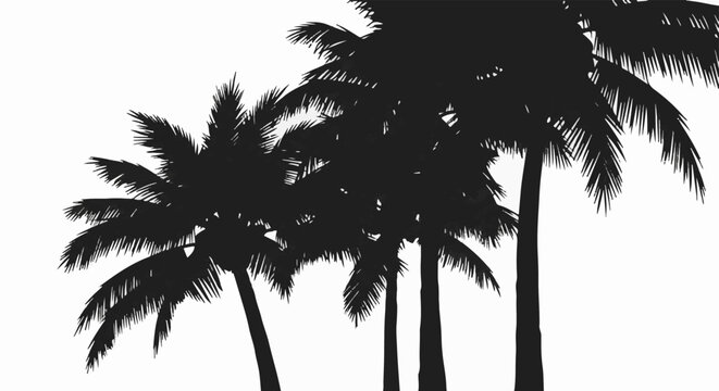Silhouette of a cluster of tropical palm trees against a white background