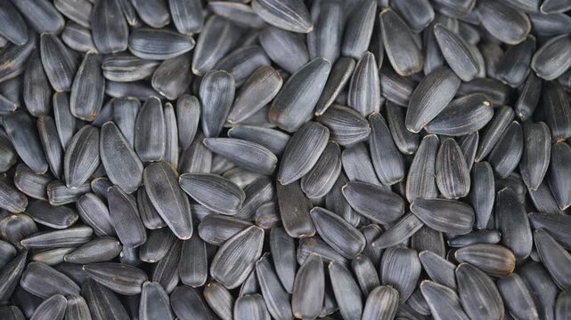 Closeup photograph showcasing textured sunflower seed shells with natural lighting. Highresolution macro shot capturing intricate texture of sunflower shells against rustic setting
