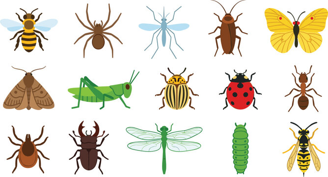 Cartoon Insect Set Featuring Bee, Ant, Spider, Moth, Grasshopper, Dragonfly, Ladybug, and Caterpillar for Nature and Wildlife Designs