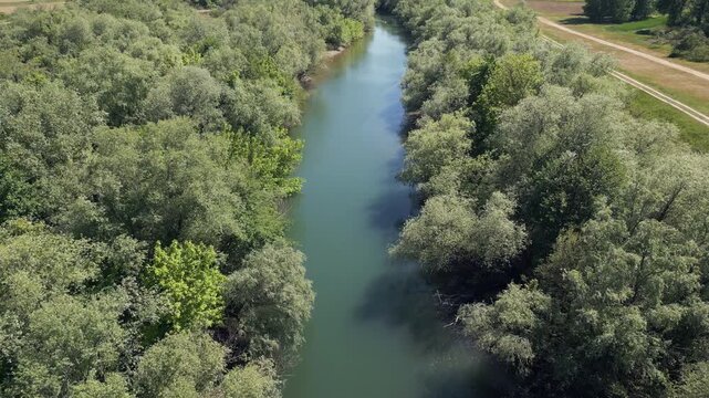 Aerial view flying over Pek river with lush green trees on the banks near Veliko Gradiste, Serbia.