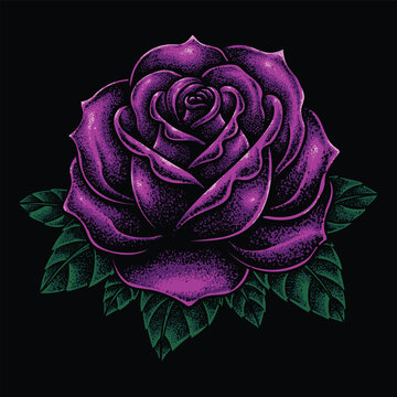 Purple rose flower illustration