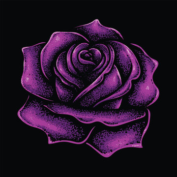 Rose flowers purple