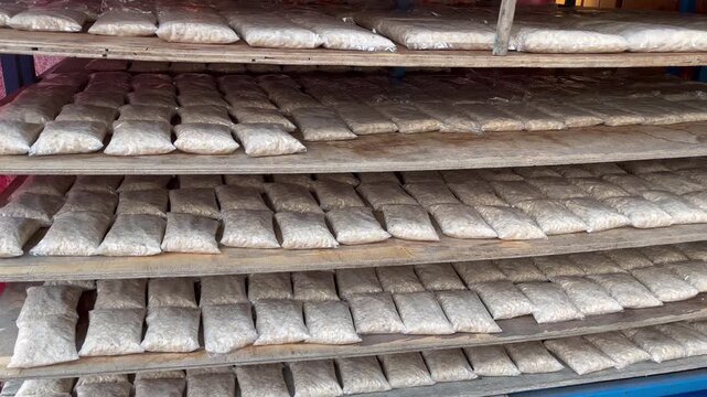 Traditional tempeh fermentation process on wooden shelves