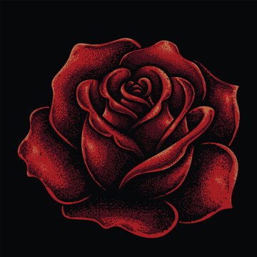 Rose flowers red
