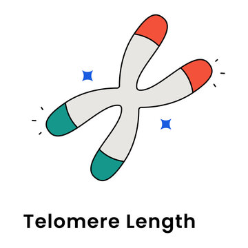 Telomere Length icon, Chromosome Concept for DNA Aging and Cellular Longevity, Genetic Science Symbol for Anti-Aging Research and Biological Clock icon