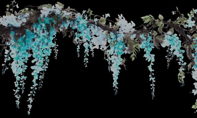 Obraz premium Ethereal teal wisteria vine with hanging flower clusters on a solid black background.