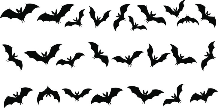 A wild nature illustration featuring a vector collection and set of black bird silhouettes and wings flying over birds in the grass as a wildlife animal shape design outline
