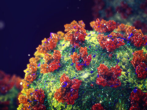 Hantavirus causing hemorrhagic fever with renal syndrome. Infection with hantaviruses can cause a range of illnesses, including severe disease and death