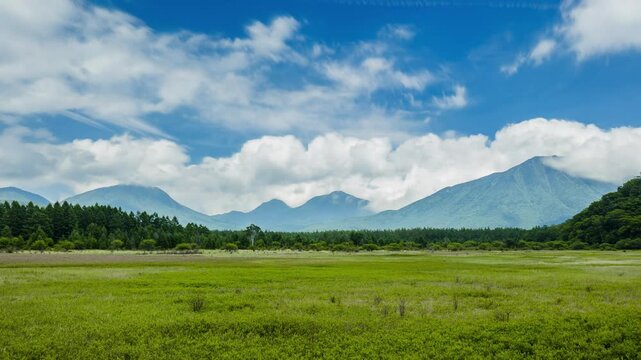 次々と雲の湧き立つ小田代ヶ原　草原の貴婦人という名の一本の白樺　日光市 栃木県　左から 山王帽子山 太郎山 小真名子山 大真名子山 男体山