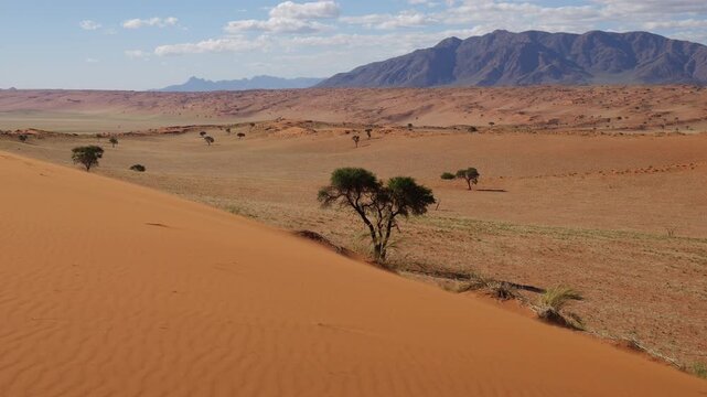 Red sand dunes at Namib rand reserve, namibia