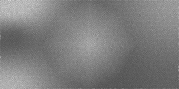 Abstract grayscale mosaic pattern with irregular cell shapes and gradient shading