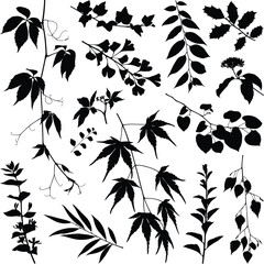 Fototapeta premium Black silhouette collection of varied botanical leaves and branch elements isolated on a clean white background for creative design.