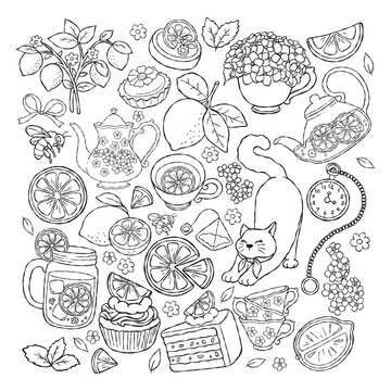 Lemon Tea Time Outline, Hand Drawn Tea Party, Wedding Invitation Graphics, It's Tea Time Line Art, Hydrangea Flower Tea Set Coloring Page Hand Drawn Design Vector