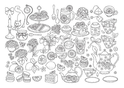 Lemon Tea Time Outline, Hand Drawn Tea Party, Wedding Invitation Graphics, It's Tea Time Line Art, Hydrangea Flower Tea Set Coloring Page Hand Drawn Design Vector