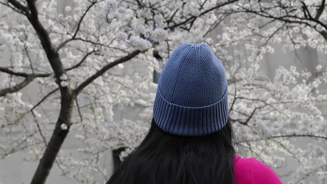 woman in woven knit winter hat looking at spring blooming cherry blossoms sign of season changing close up brunette young lady sweater springtime seasons change