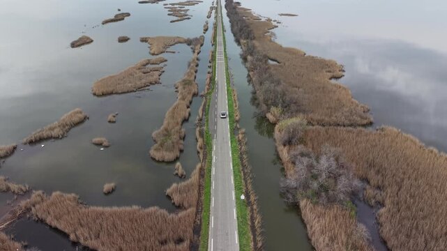 Aerial view of a straight road crossing the Reserve naturelle nationale de Camargue with vast wetlands and dry reeds under an overcast sky in Arles, Provence-Alpes-Cote d'Azur, France.