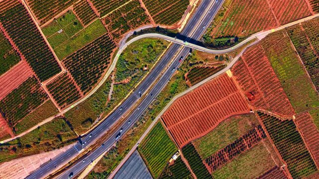 Aerial view of highway overpass bridge and orange fruit groves. A road junction and overpass crossing a major highway in a rural agricultural area with orange trees.