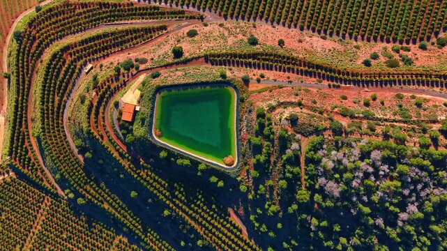 Top view of geometric irrigation basin and terraced citrus groves. A turquoise water reservoir surrounded by citrus plantations on terraced red earth.