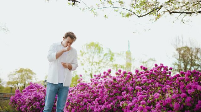 4K video of a man sneezing next to blooming pink flowers in a park, suffering from spring allergy, hay fever, and pollen irritation during the blooming season. High quality footage
