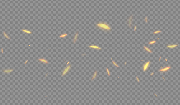 fire dust particles over transparent background overlay, Flying Fire Particles transparent background in png format. 3d render of fire embers, Fire flames isolated on transparent background