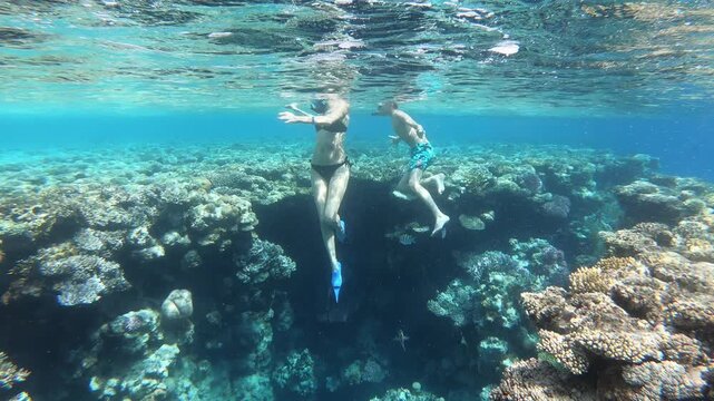 A mother and son swim over a coral reef, exploring the underwater world of the Red Sea. Sunlight filters through surface, creating bright patterns. High quality 4k footage