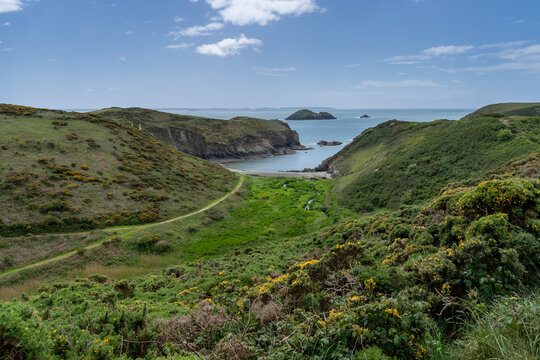 walkimg around Solva coastline and woods