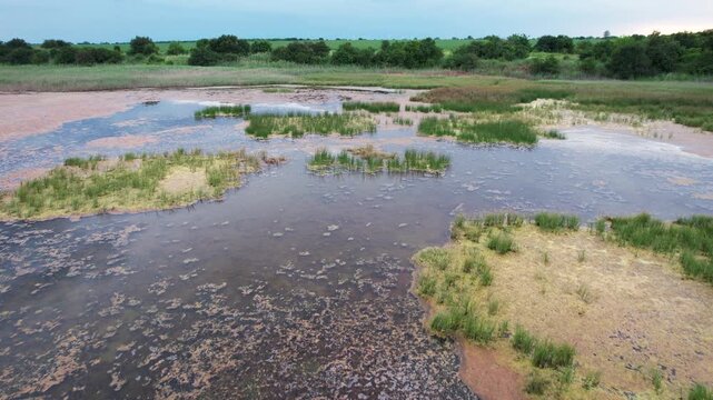Aerial view of the coastal wetlands featuring patches of green reeds and reddish algae under a cloudy sky in Shabla, Dobrich Province, Bulgaria.