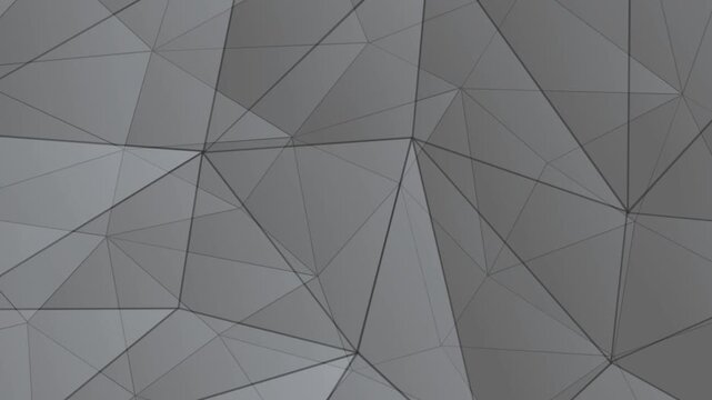 Digital Triangular Mesh Web Background with Connecting Lines
