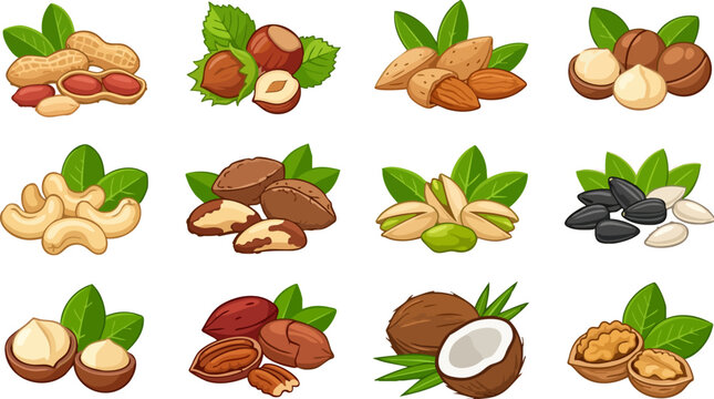 Organic nut and seed collection, 12 vector icons of healthy snacks with green leaves, cartoon hazelnut almond walnut and pistachio set