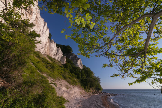 Kreidefelsen M&ouml;ns Klint