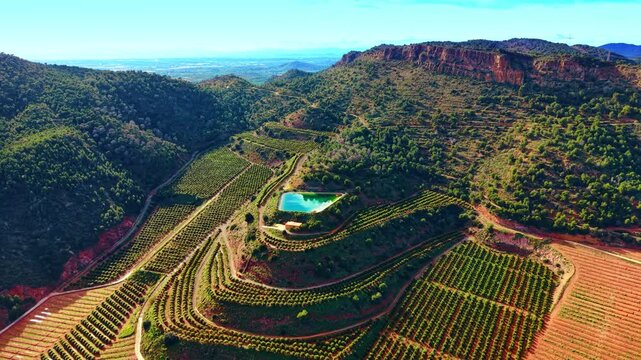Aerial landscape of turquoise reservoir and terraced citrus plantations. Water basin for irrigation surrounded by neat rows of orange trees on hills.